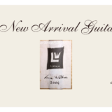 ルカ・ワルドナー 2004年製