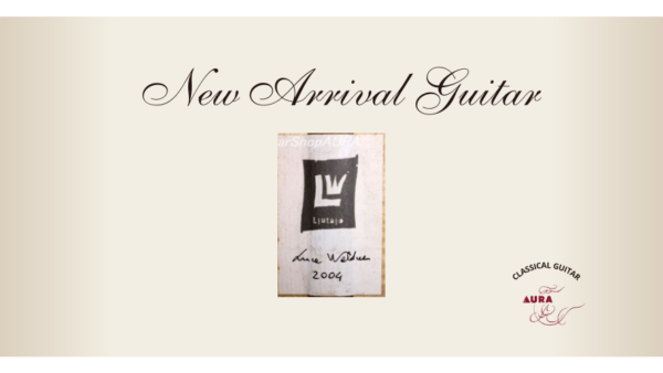 ルカ・ワルドナー 2004年製